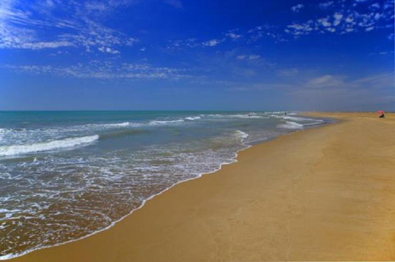 Mas Illa De Riu - Autentica Masia Del Delta Del Ebro Con Capacidad Para 20 Personas - Deltavacaciones Сан-Жауме-де-Энвежа Экстерьер фото