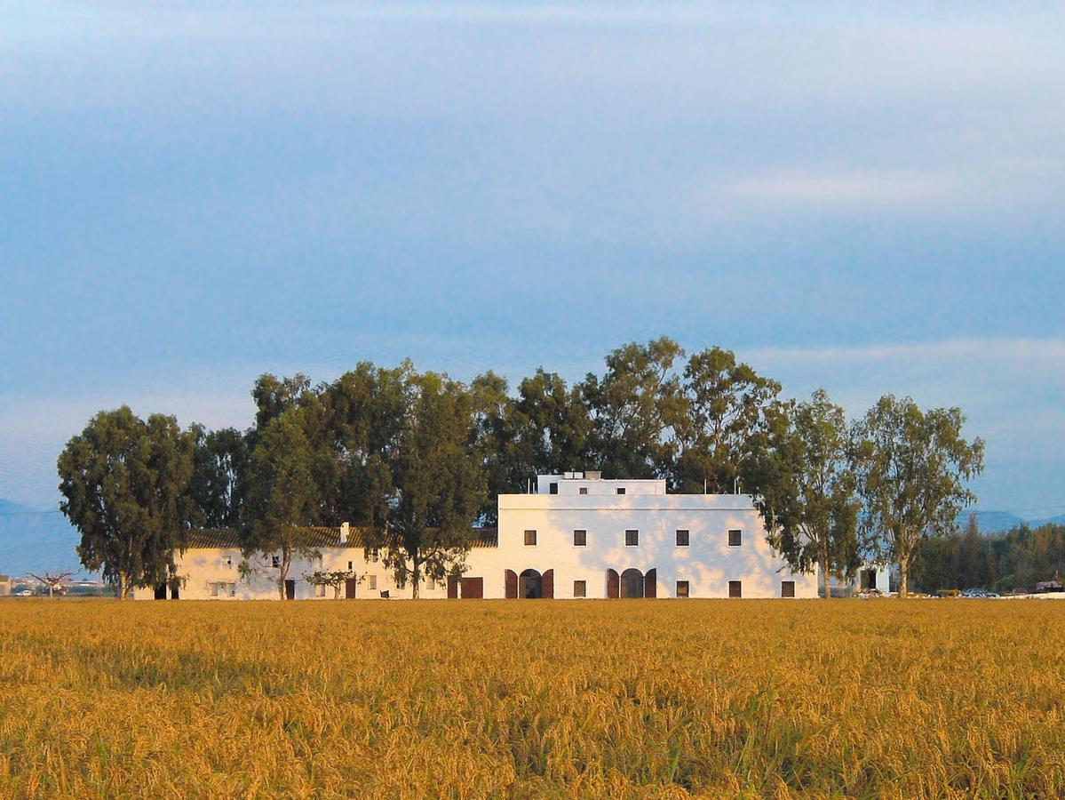 Mas Illa De Riu - Autentica Masia Del Delta Del Ebro Con Capacidad Para 20 Personas - Deltavacaciones Сан-Жауме-де-Энвежа Экстерьер фото